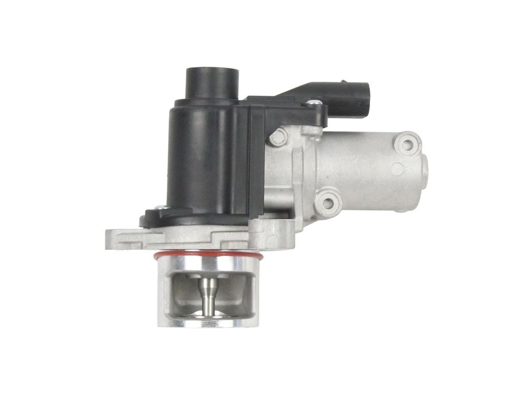  Válvula EGR Hyundai Santa Fe 3