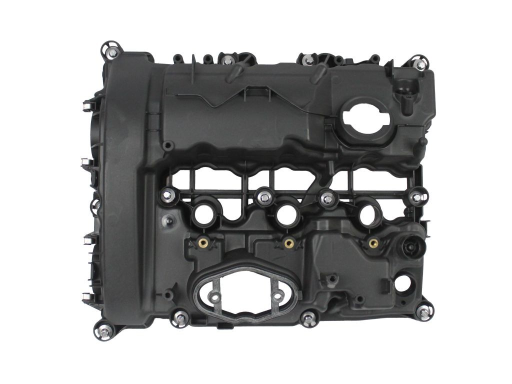 Tapa de valvula Mini Cooper 