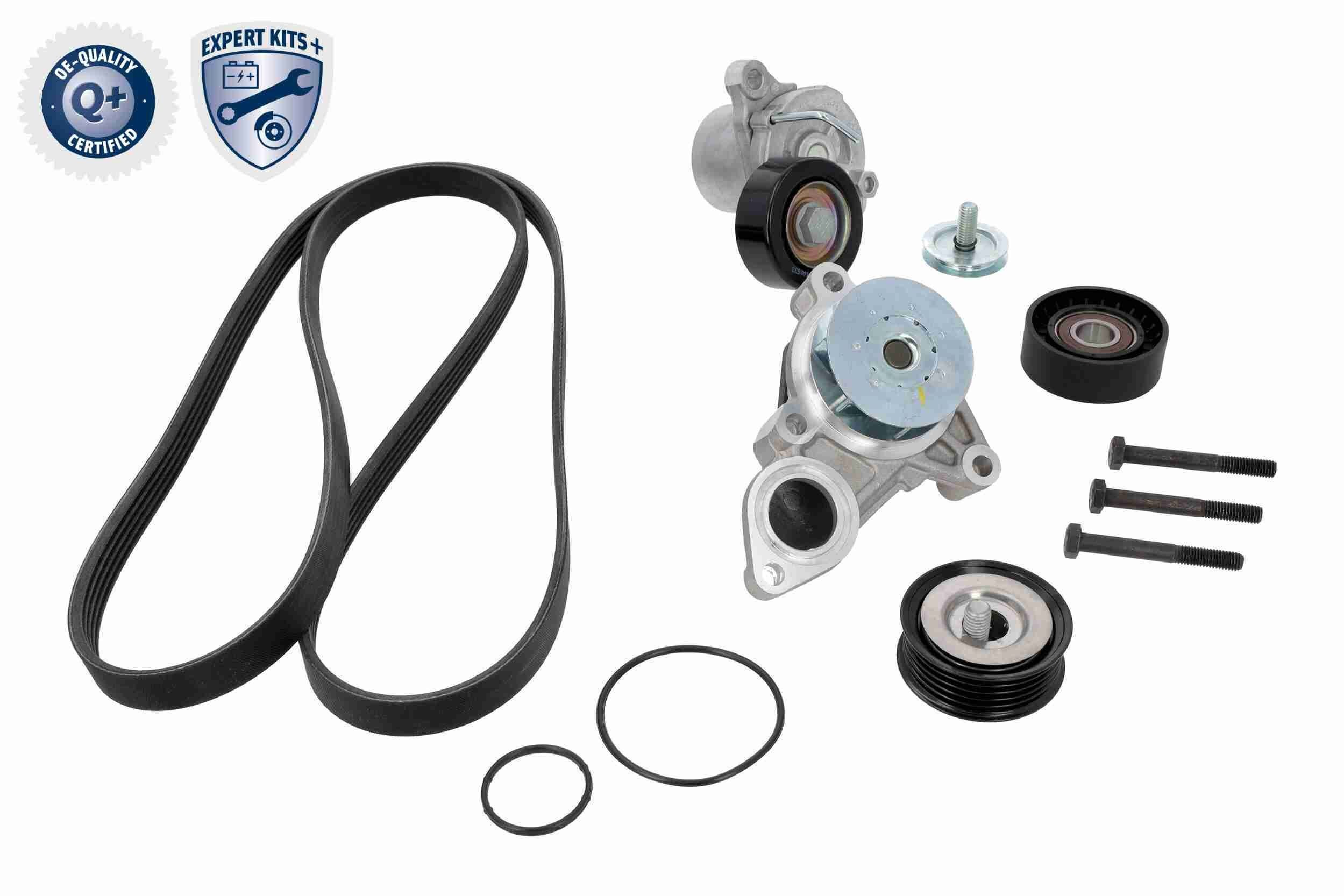Comprar Correa de transmisión KIA Rio II JB