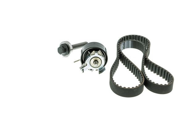 Kit distribución LUK 530060510