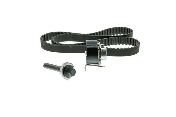 Juego de correas dentadas LUK 530060510 precio, desde 80,60 EUR