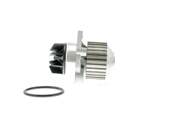 Bombeadora de agua Tata P802 precio, desde 36,74 EUR
