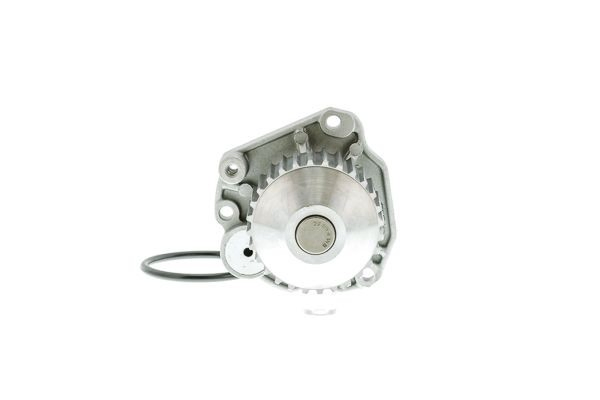 Comprar P802 Tata Bomba de agua para motor