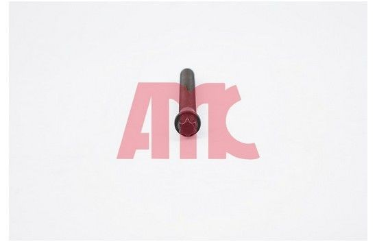 258095 AMC