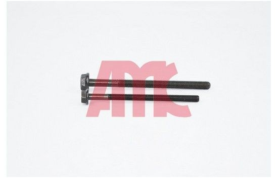 258867 AMC