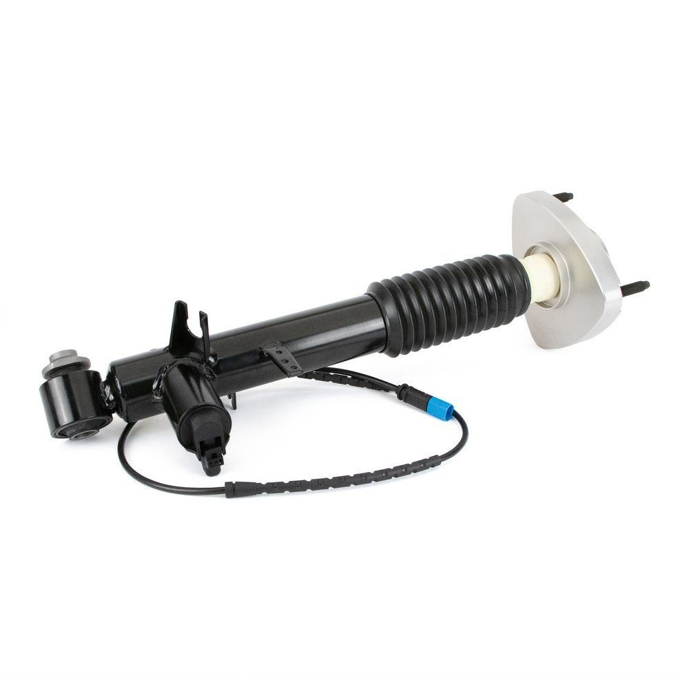 SK3816 Arnott Amortiguador trasero derecho