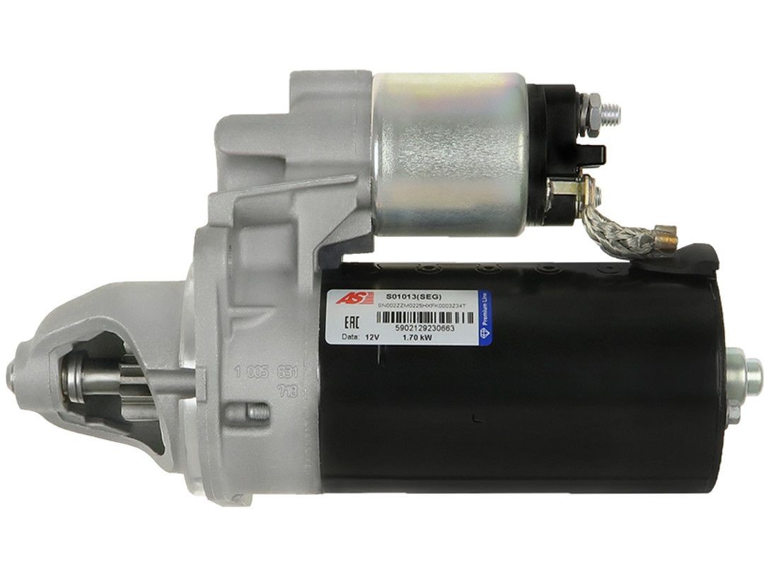 S01013SEG As-pl