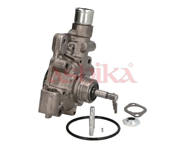 Bombeadora de agua Renault Trucks Mascott camión plataforma/chasis (HH) (1999 - 2010) precio, desde 91,19 EUR