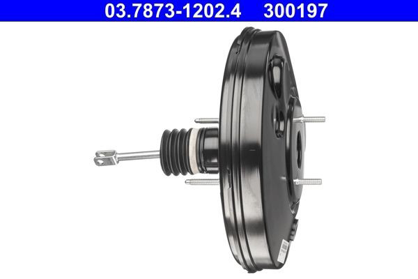 Servofreno Renault Laguna II hatchback (BG0, BG1) (2001 - 2007) precio, desde 47,92 EUR