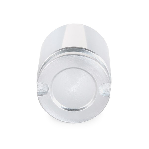 Émbolo de la pinza de freno trasera Autofren D02519 precio, desde 10,75 EUR