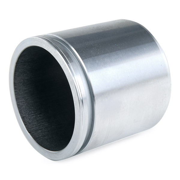 Émbolo de la pinza de freno delantera Autofren D02569 precio, desde 10,75 EUR