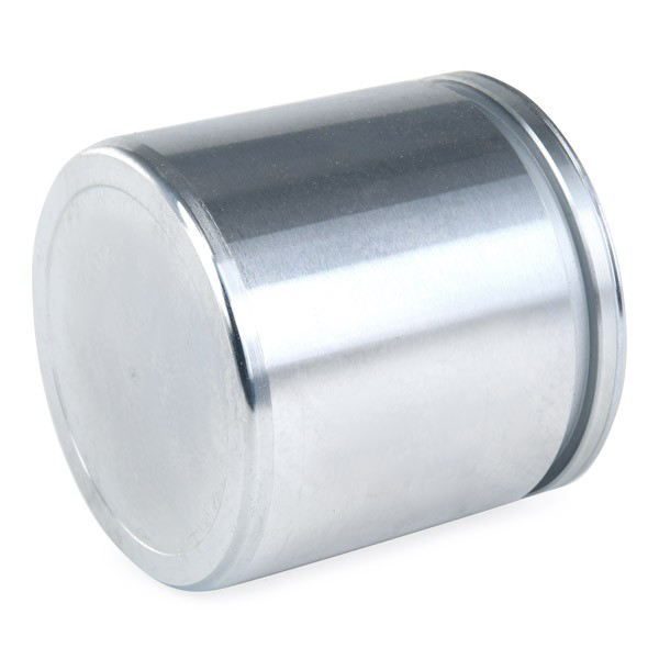 Émbolo de la pinza de freno delantera D02569 Autofren