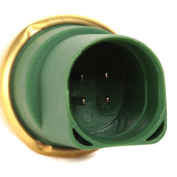 Sensor de temperatura ST119 Beru
