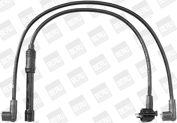 ZEF1131 Beru