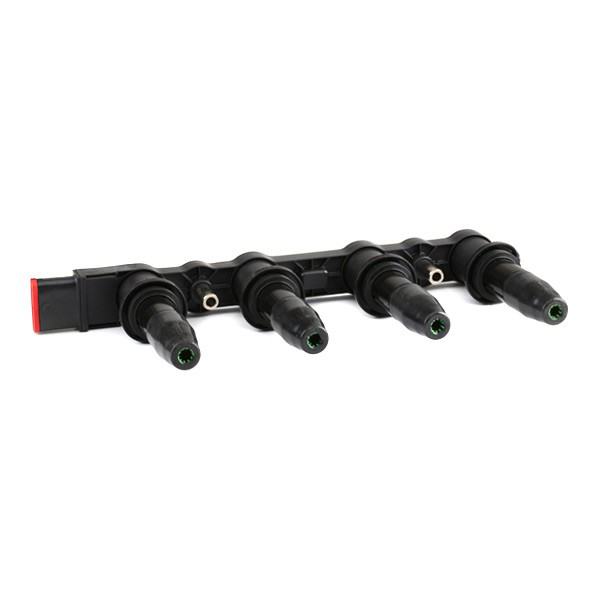Comprar ZS427 Beru Bobina