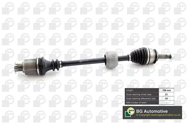 DS1500R BGA