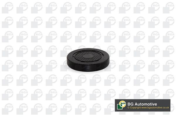 Tapon de bloque del motor Renault Megane II