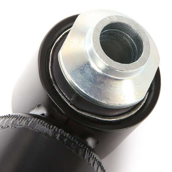 19220970 Bilstein Amortiguadores posteriores