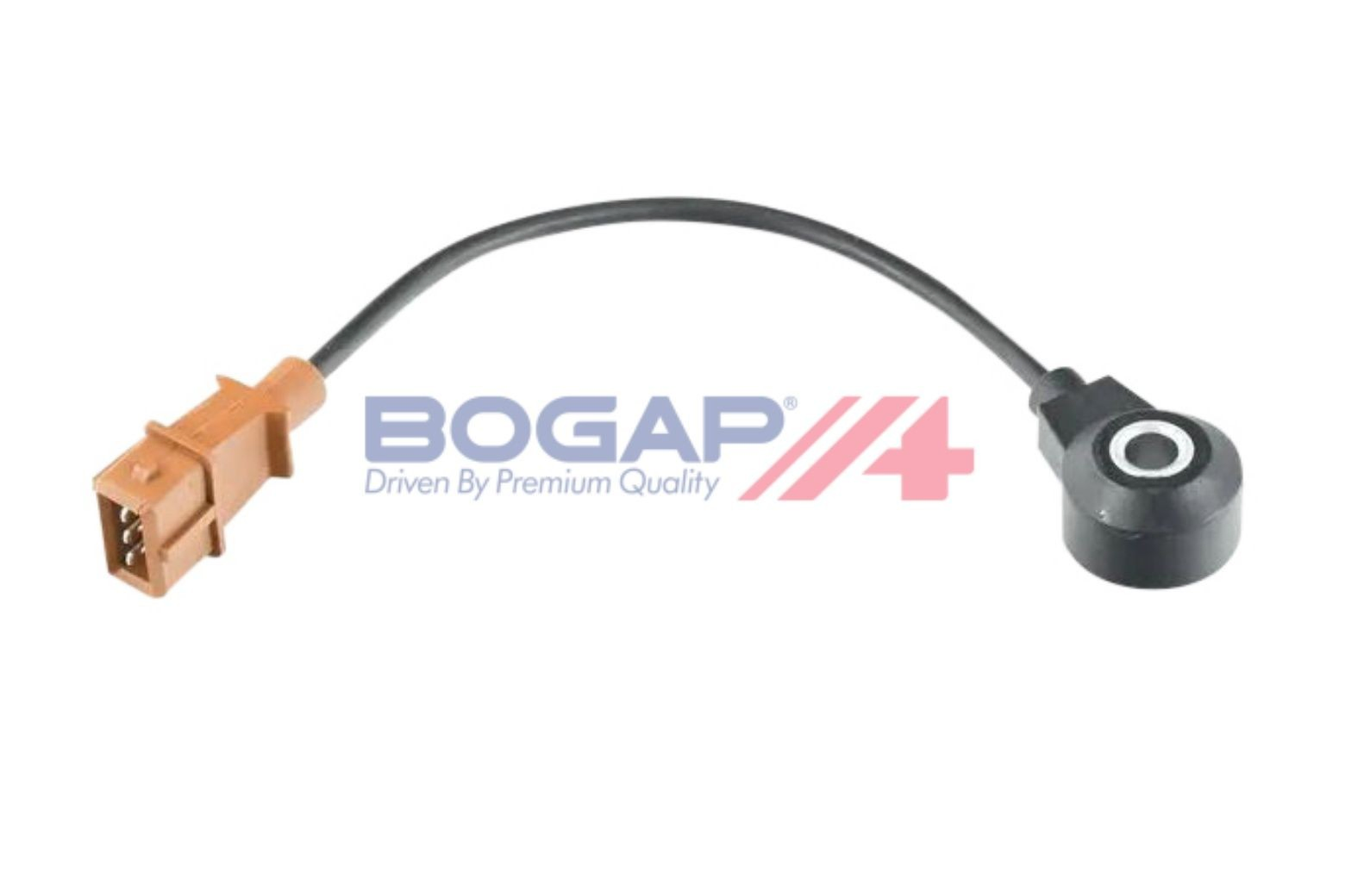 A6113113 Bogap