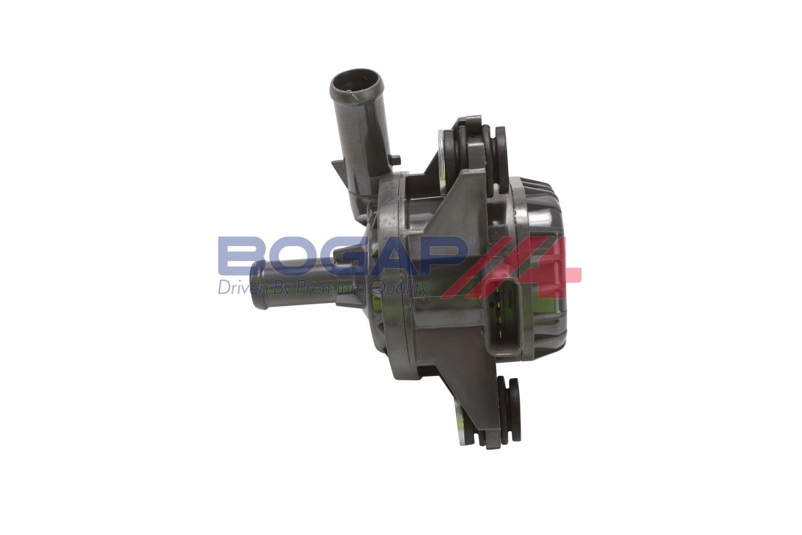 T4243104 Bogap