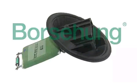 B11459 Borsehung