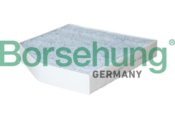 B12449 Borsehung Filtro antipolen