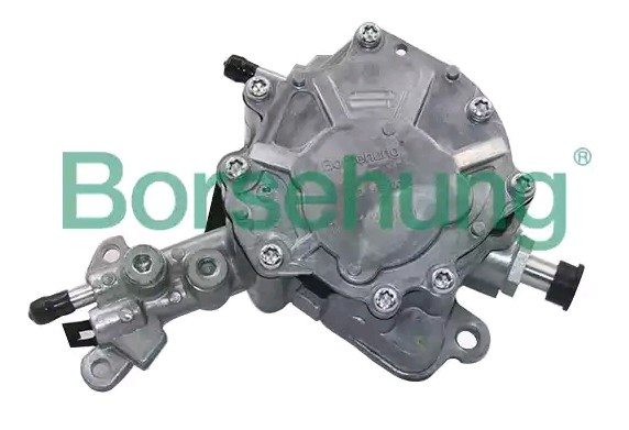 B14919 Borsehung Bomba tándem de combustible