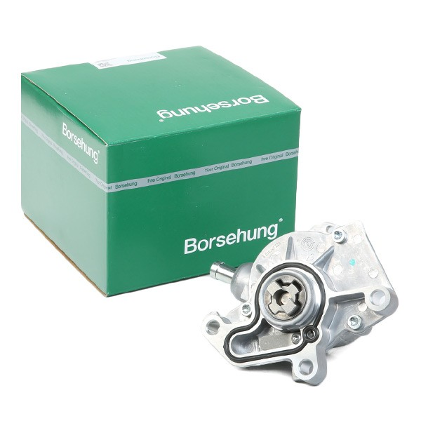 Bomba de vacío B18801 Borsehung