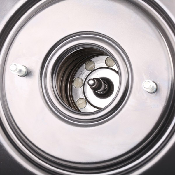 Servofreno Bosch 0204828666 precio, desde 50,82 EUR