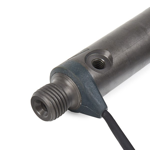 0432193619 Bosch Inyector de combustible