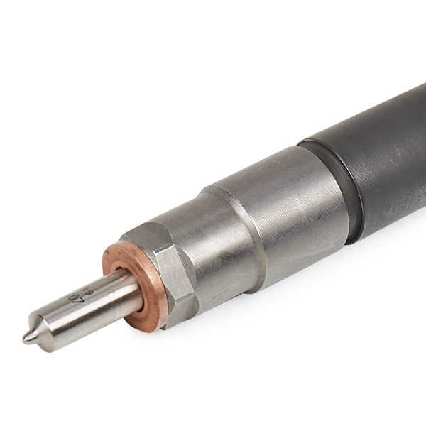 0445110276 Bosch Inyector de combustible