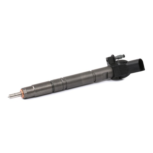 0445117021 Bosch Inyector de combustible