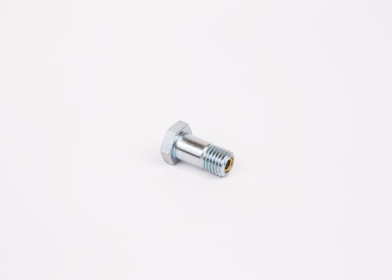 Comprar 1463456344 Bosch Válvula de derivación (perno banjo)