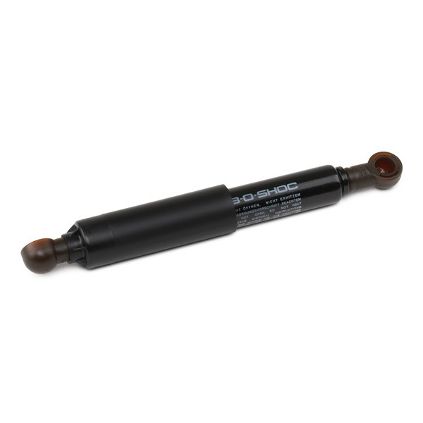 Amortiguador de la bomba de alta presión Bosch 1467032010