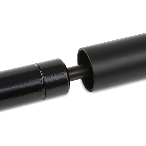 1467032010 Bosch Amortiguador de la bomba de alta presión