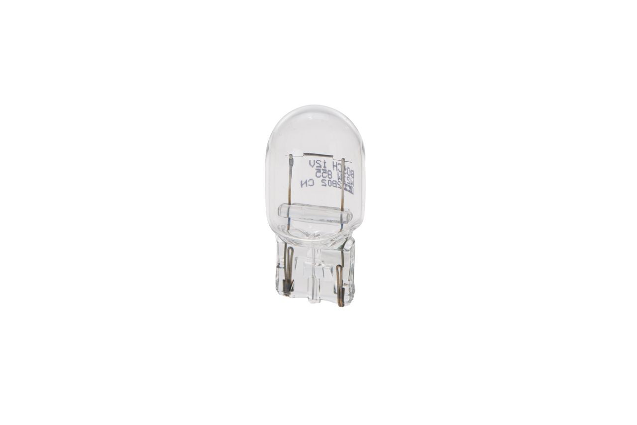 Bombilla 1987302251 Bosch