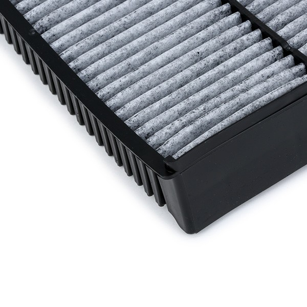 1987432394 Bosch Filtro antipolen