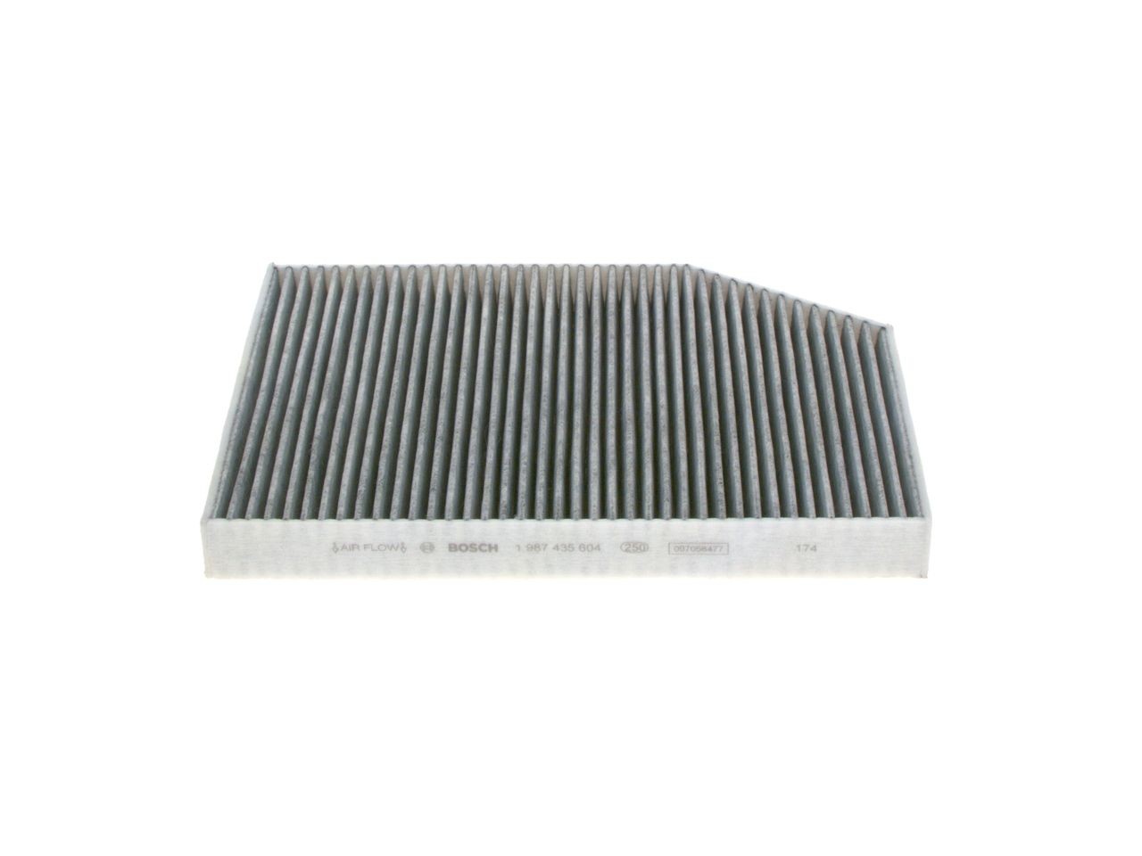 1987435604 Bosch Filtro antipolen