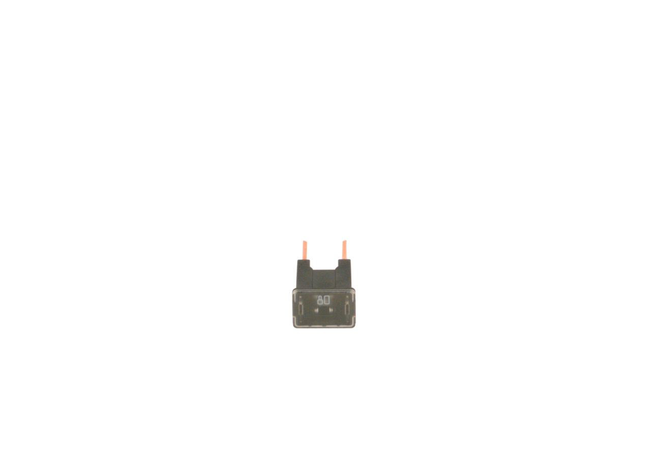 1987529073 Bosch Fusibles