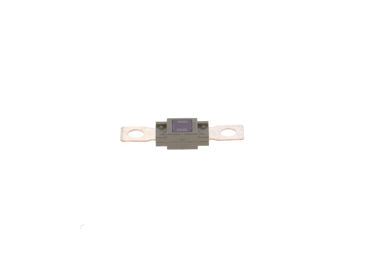 Fusibles 1987531007 Bosch