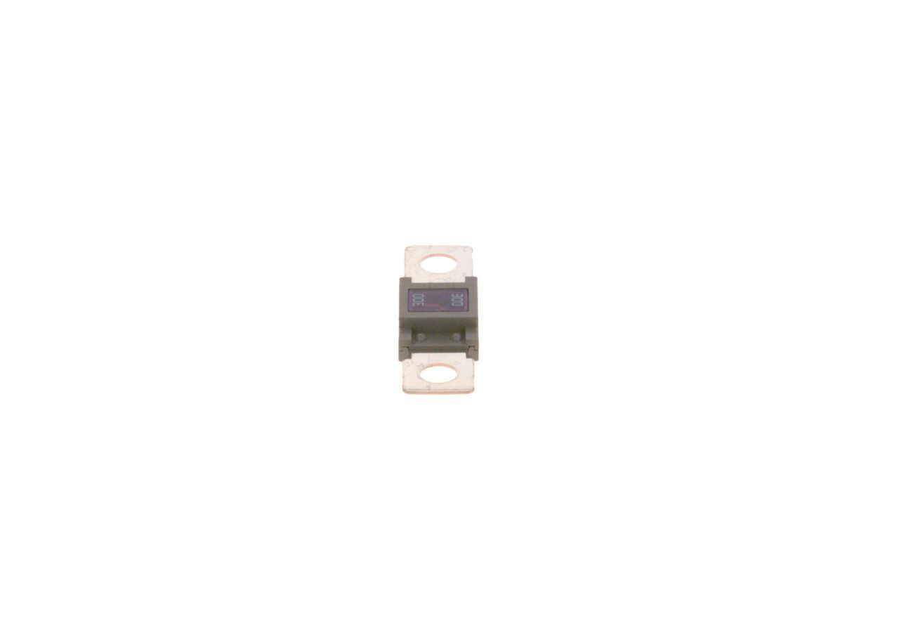 Fusible Bosch 1987531007