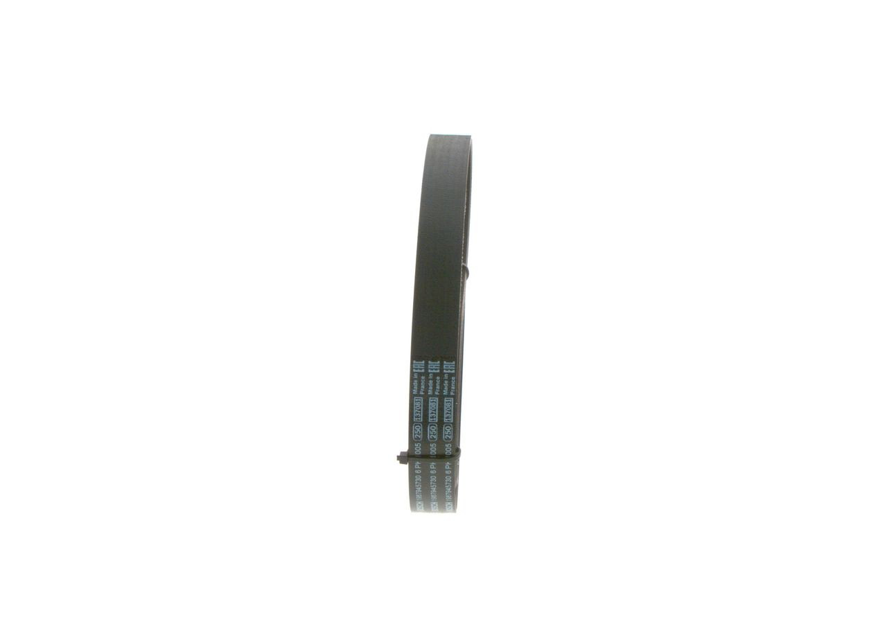1987945730 Bosch Correa poly v