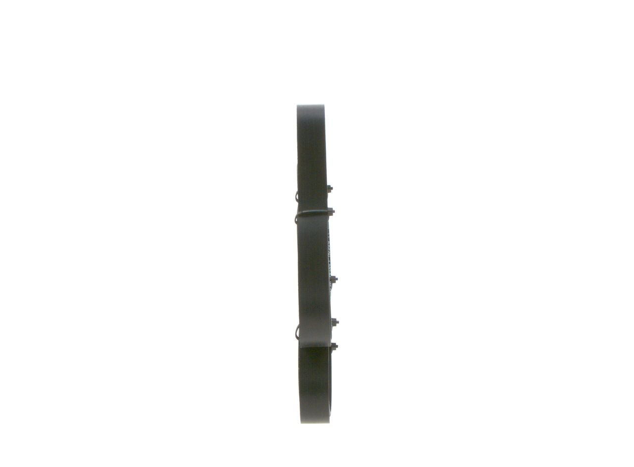 Correa de alternador 1987945982 Bosch