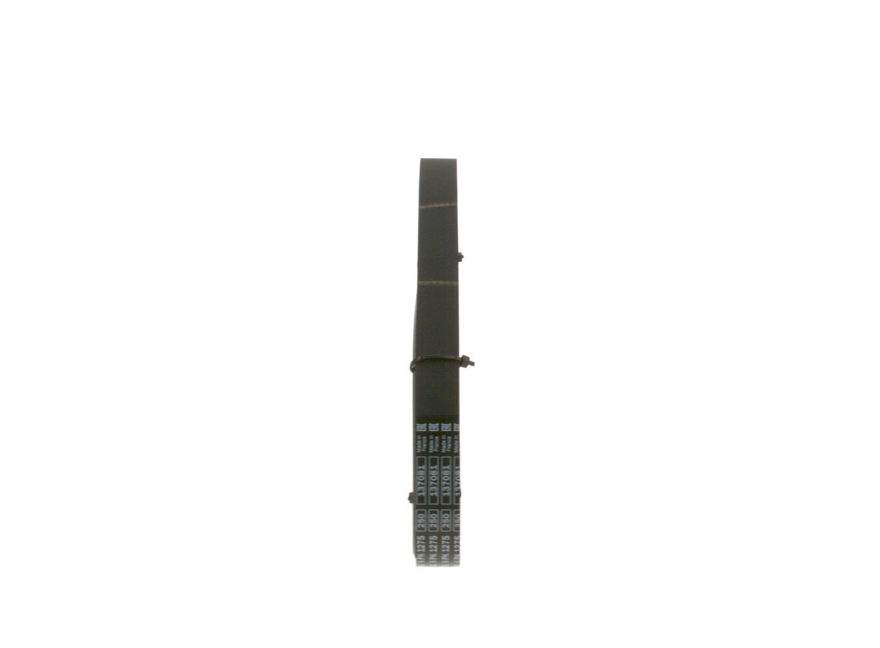 Correa de alternador 1987946016 Bosch
