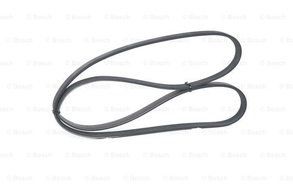Correa de alternador 1987946081 Bosch
