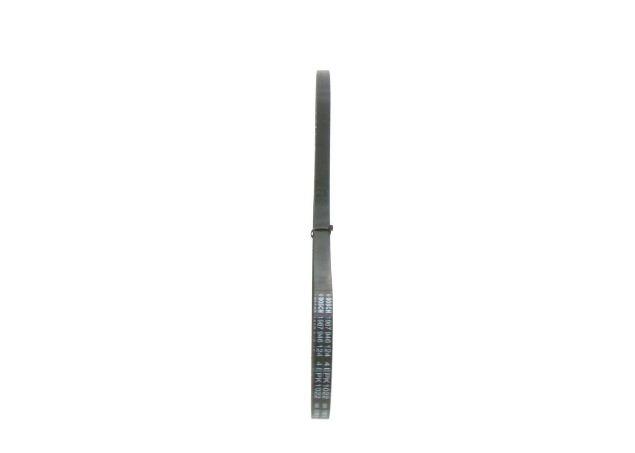 Correa de alternador 1987946124 Bosch