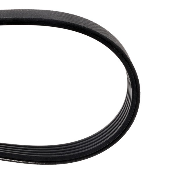 Correa de alternador 1987946236 Bosch