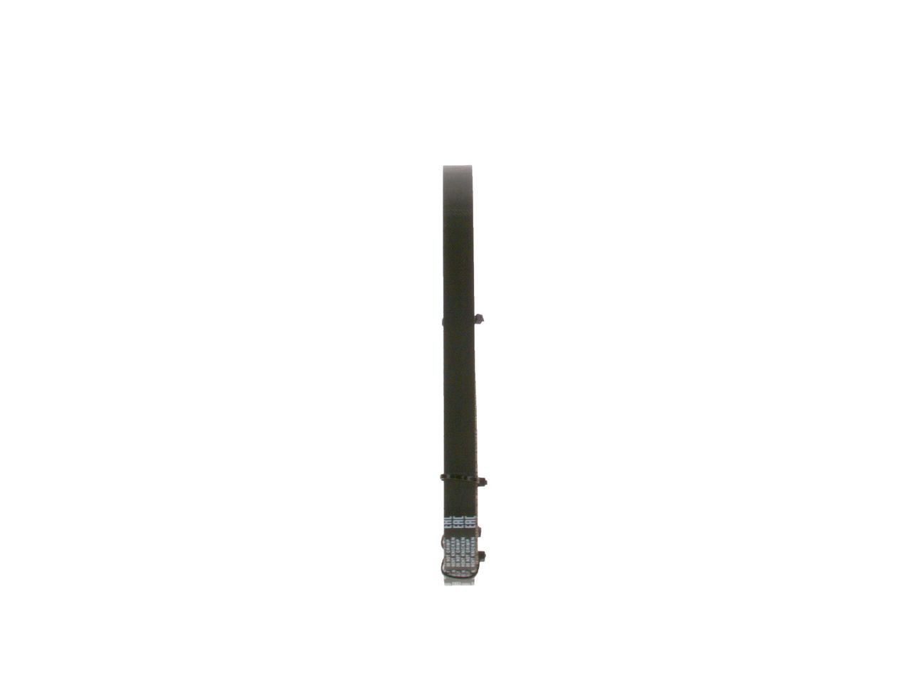 Correa distribución 1987946804 Bosch