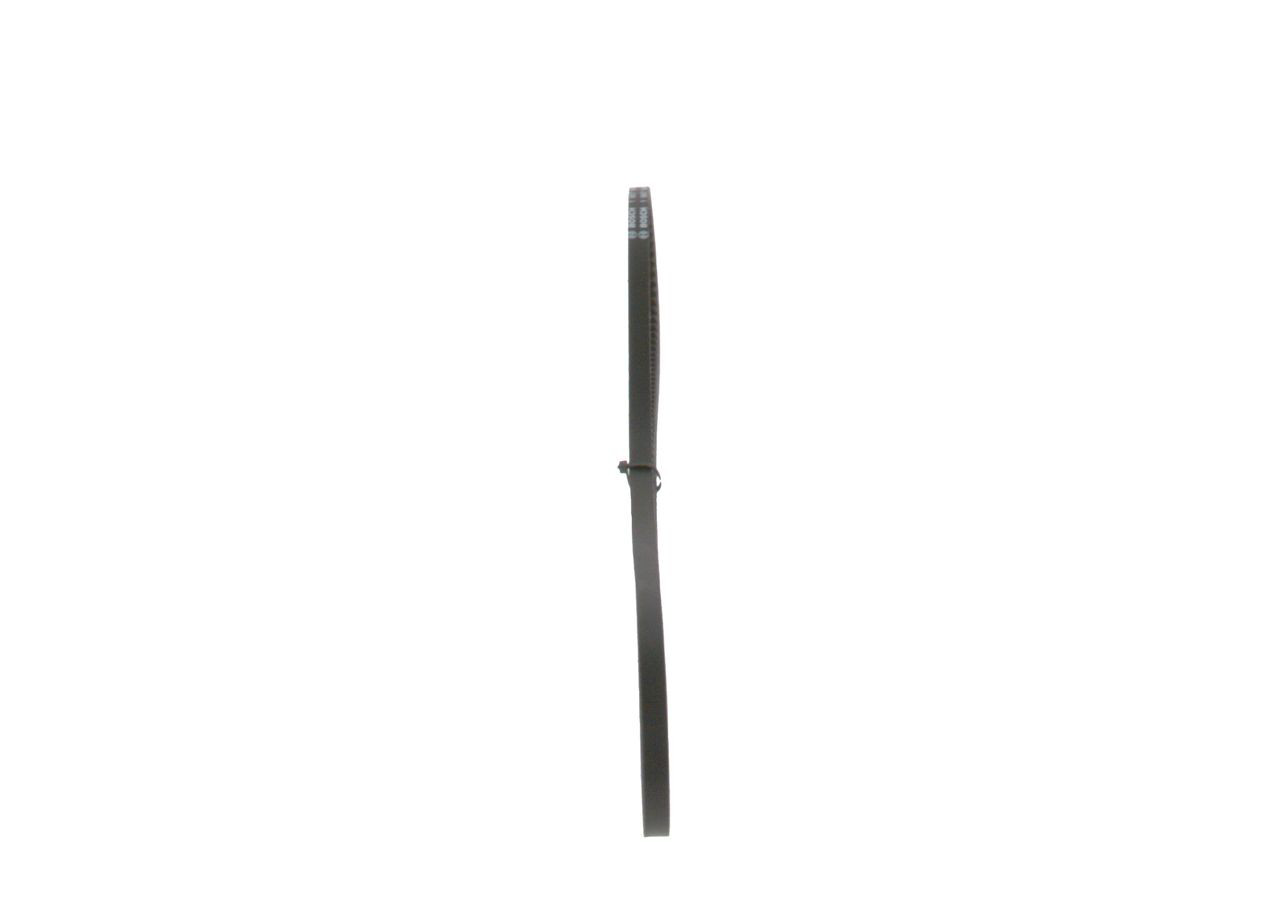 Correa de alternador 1987947608 Bosch