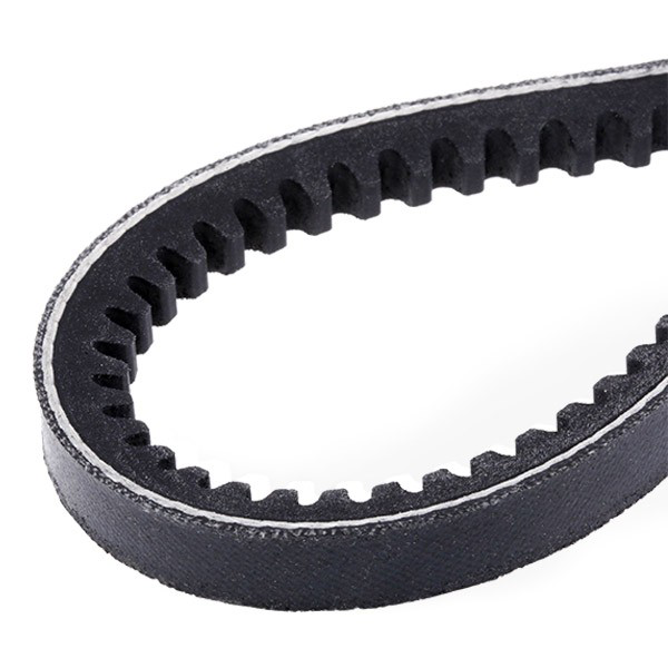 Correa de alternador 3000131 Cummins